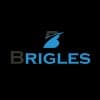 Brigles Technology