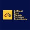 Brilliant Boss Human Resources Consultancy