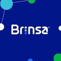 Brinsa S.A.