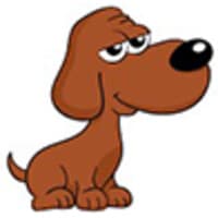 Brown Dog IT