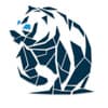 Bruin Consulting