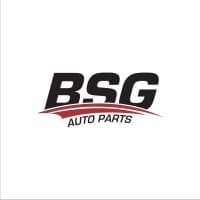 BSG Auto Parts