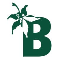 Buckeye Real Estate Inc.