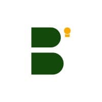 Bulbstein International