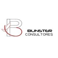 Bunster Consultores