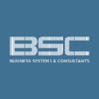 business systems and consultants, inc.