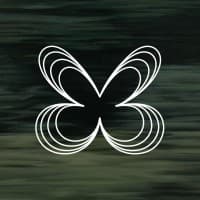 Butterfly Effect