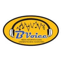bvoice radio