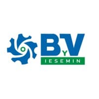 ByV IESEMIN SAC