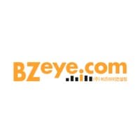 BZeye Consulting