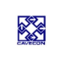 CAMARA VENEZOLANA DE EMPRESAS CONSULTORAS