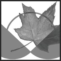 Canadian Centre for Policy Alternatives