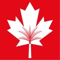 Canadian University Dubai