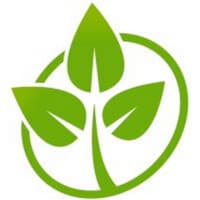 carpet care france