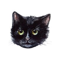 Cat e Lolette