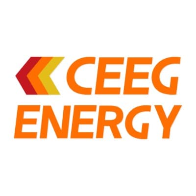 China Electric Equipment Group(CEEG)