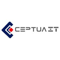 CEPTUA IT INC