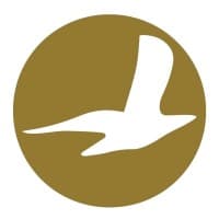 Cham Wings Airlines