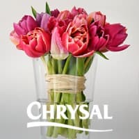 Chrysal International BV
