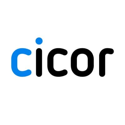 Cicor Group