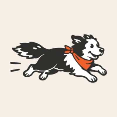 cinnamon.io