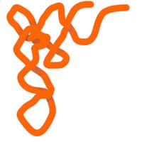 Cloverleaf Bio
