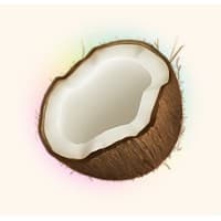 Coconote