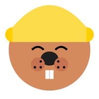 CodeBeaver