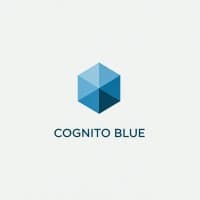 Cognito Blue, Consulting