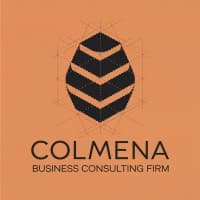 Colmena Business Consulting Firm