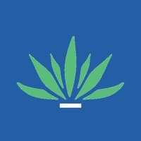 Connect'Aloe