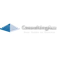 CONSULTING ACE INC.