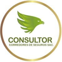 Consultor SAC