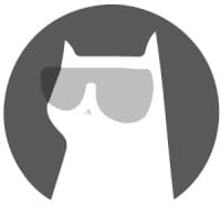 Cool Cat Agencia Digital