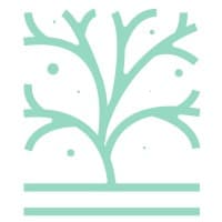 Cothrom Capital