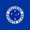 Cruzeiro Esporte Clube - SAF