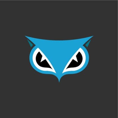 サイバーリーズン・ジャパン(A LevelBlue Company)