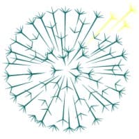Dandelion Health