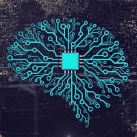 Data Analyst