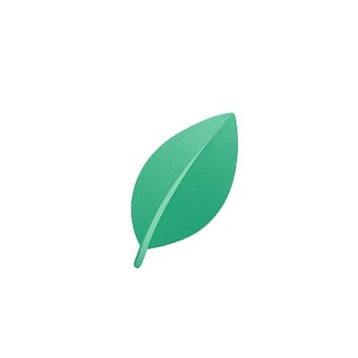 Datamint