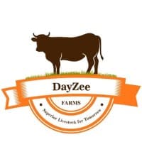DayZee Private Limited
