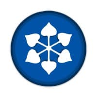 DCM Shriram Industries Limited