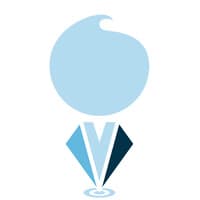 De Kleine Consultant