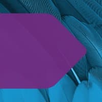Dentons Sirote