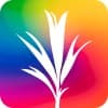 development seed