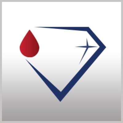 Diamond Diagnostics Inc.