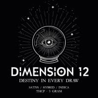Dimension 12