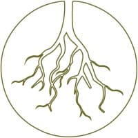 DIRTY ROOTS BERLIN