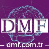 DMF Sistem Bağımsız Denetim ve YMM A.Ş