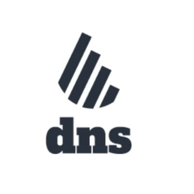 dns accountants